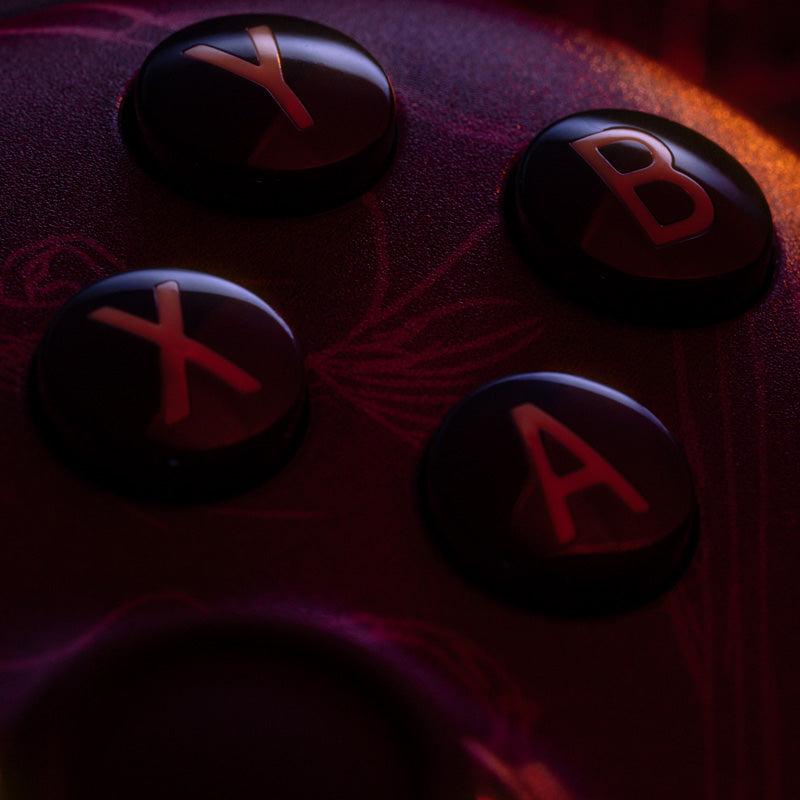 8BitDo Ultimate 2 Wireless Controller - WUCHANG: Fallen Feathers - Image 11